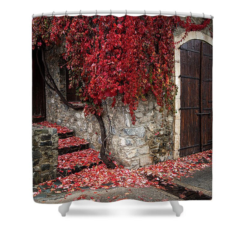 Autumn Shower Curtain featuring the photograph Autumn landscape with red plants on a hous wall by Michalakis Ppalis