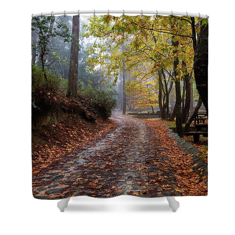 Autumn Shower Curtain featuring the photograph Autumn landscape with trees and Autumn leaves on the ground after rain by Michalakis Ppalis