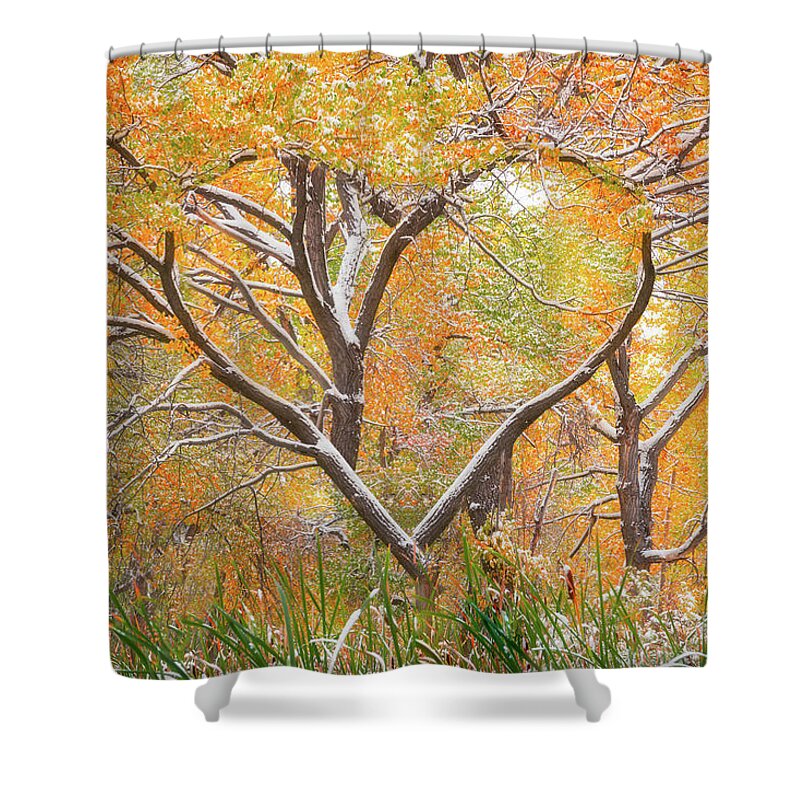 Fall Shower Curtain featuring the photograph Autumn Love by Darren White