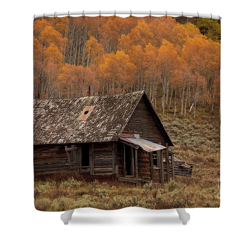 Colorado Shower Curtain featuring the photograph Autumn On Fire by Doug Sturgess