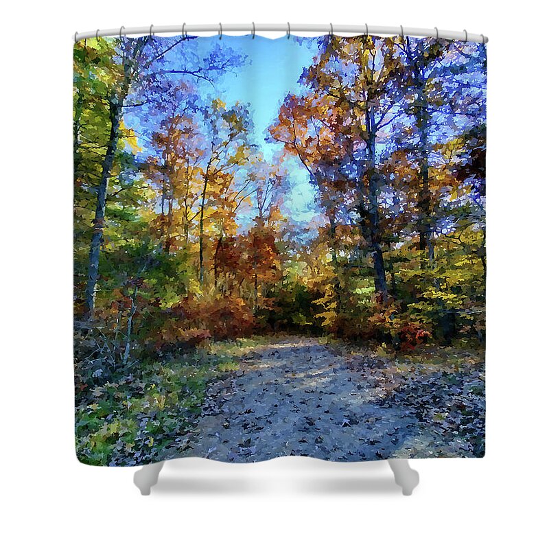 Autumn Shower Curtain featuring the photograph Autumn Path by Allen Nice-Webb