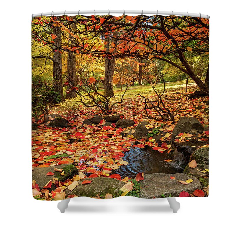 Autumn Shower Curtain featuring the photograph Autumn Pond In Lithia Park by James Eddy