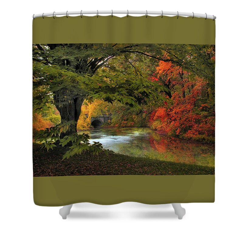 Autumn Shower Curtain featuring the photograph Autumn Reverie by Jessica Jenney