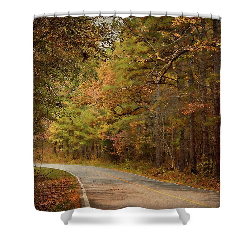 Arkansas Shower Curtain featuring the photograph Autumn Road by Lana Trussell