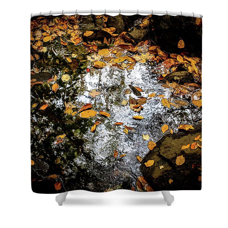 Autumn Shower Curtain featuring the photograph Autumn Stream at Chapel Falls 3 by Michael Saunders
