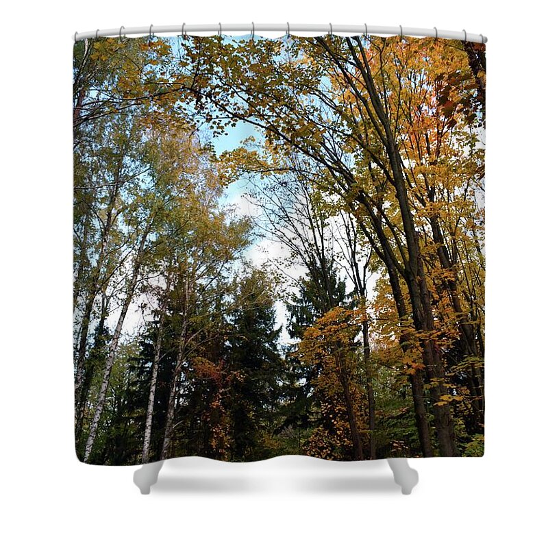 Nature Shower Curtain featuring the photograph Autumn Symphony In The Forest 03 by Leonida Arte