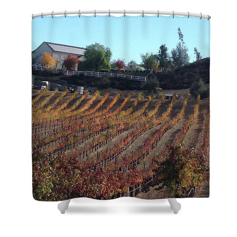 Autumn Shower Curtain featuring the photograph Autumn Vines Temecula by Roxy Rich