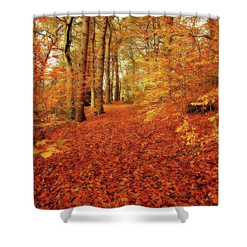 Autumn Shower Curtain featuring the photograph Autumn woodland in Derbyshire by David Birchall