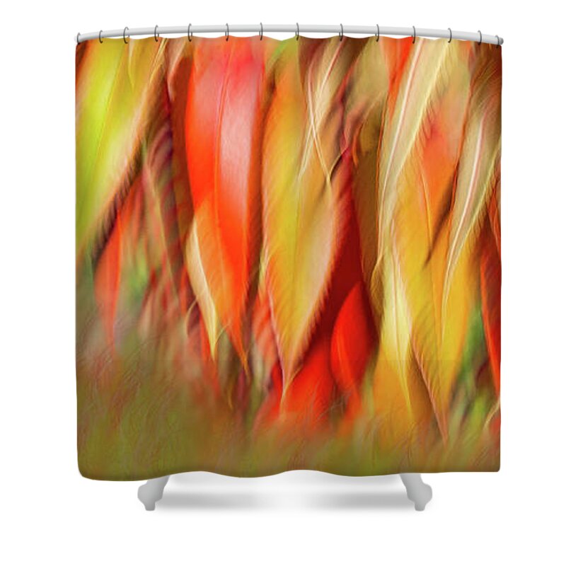  Shower Curtain featuring the photograph Autumns Feathers of Fire by Marilyn Cornwell