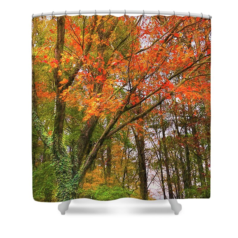 Autumn Shower Curtain featuring the photograph Autumn's Last Tango in the South by Ola Allen