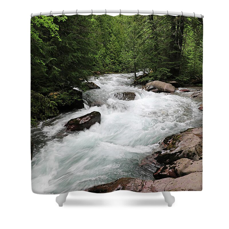 Avalanche Falls Shower Curtain featuring the photograph Avalanche Creek - Glacier National Park by Richard Krebs