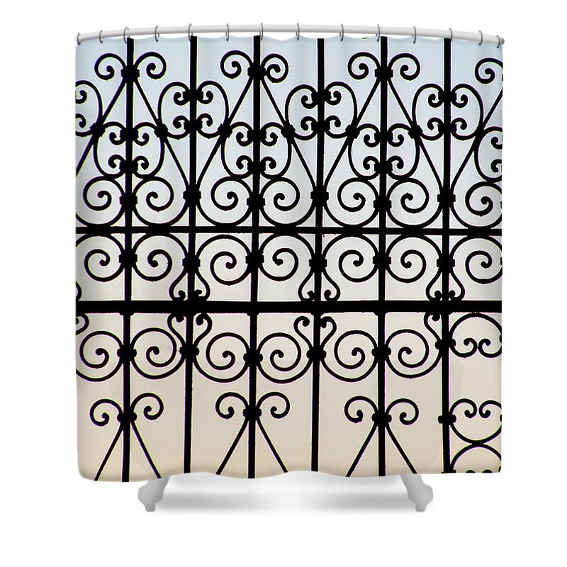 Gate Shower Curtain featuring the mixed media Awake at Dawn by Moira Law