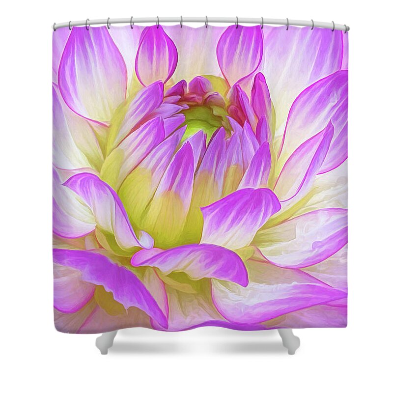 Dahlia Shower Curtain featuring the photograph Awakening Dahlia by Kevin Lane