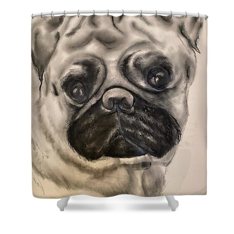  Shower Curtain featuring the drawing Ayden by Angie ONeal