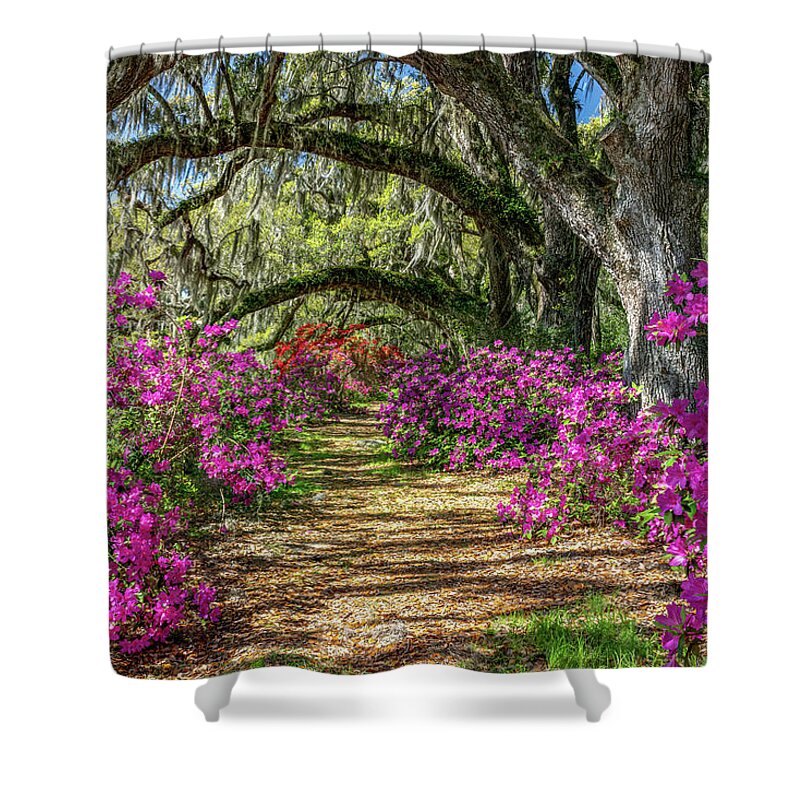 Charleston Shower Curtain featuring the photograph Azaleas Under the Oaks III by Jim Miller