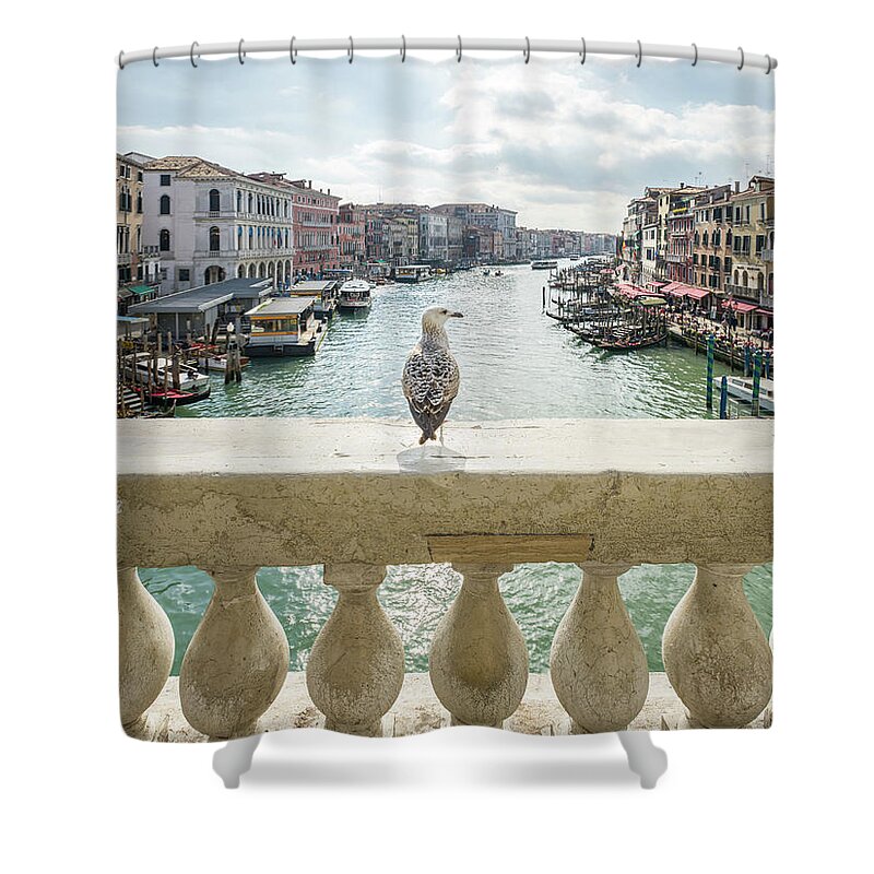 Rialto Shower Curtain featuring the photograph B0007779x - Gabbiano sul Ponte di Rialto by Marco Missiaja