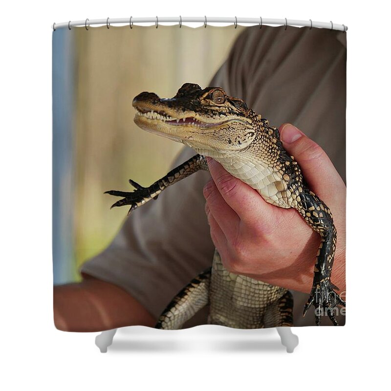Baby Alligator Shower Curtain