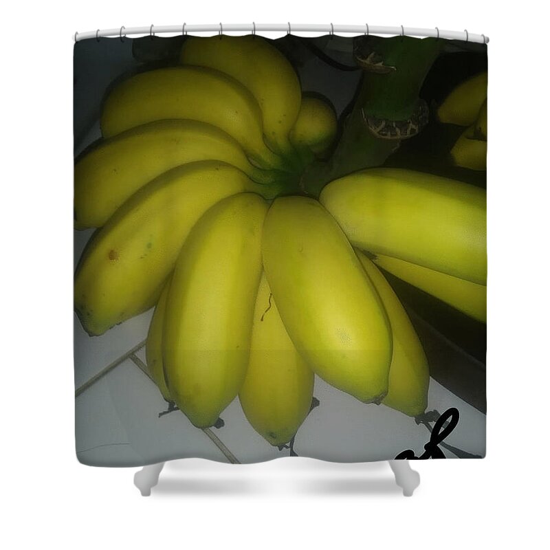 Banana Shower Curtain featuring the photograph Baby Banana by Esoteric Gardens KN