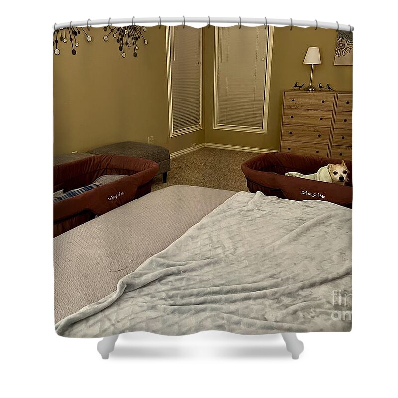  Shower Curtain featuring the photograph Baby Bassinets for Dogs by Donna Mibus