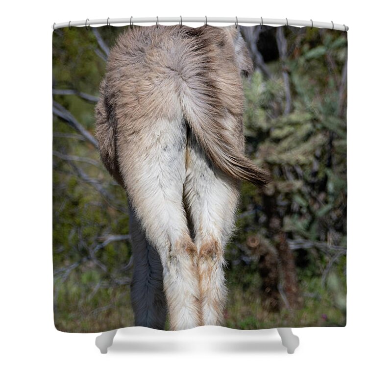 Wild Burros Shower Curtain featuring the photograph Baby Burro Butts Drive Me Nuts by Mary Hone