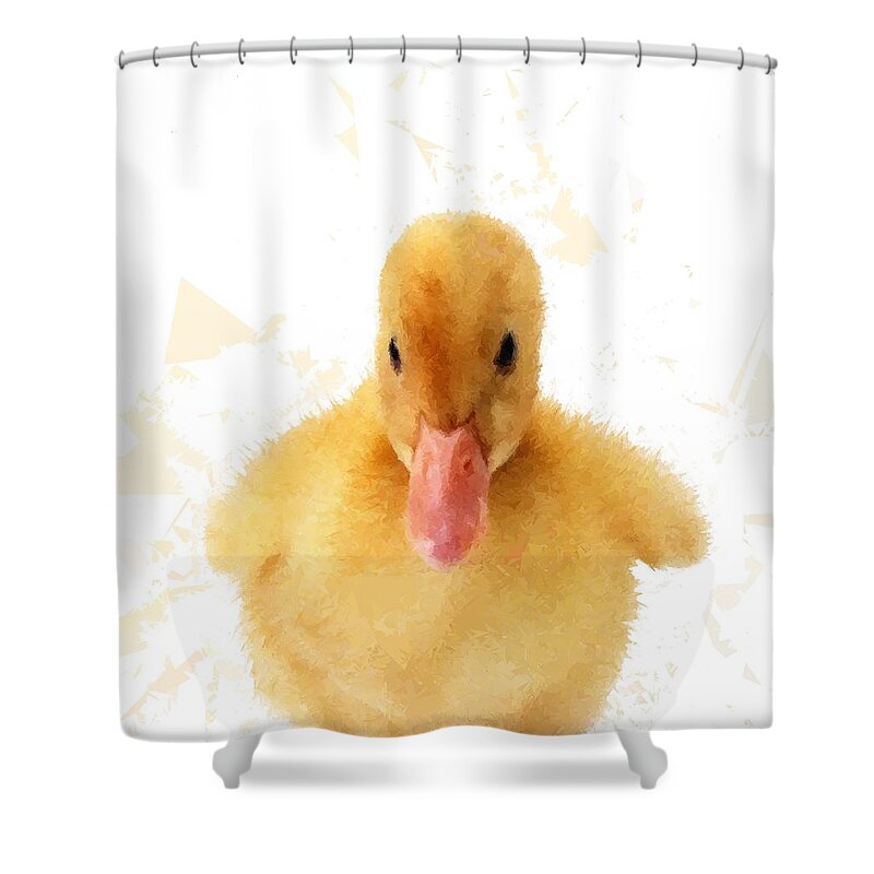 Nature Shower Curtain featuring the drawing Baby Duck Duckling Childs Room by David Dehner