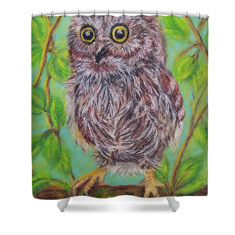 Owl Painting Shower Curtain featuring the pastel Baby Owl by Olga Hamilton