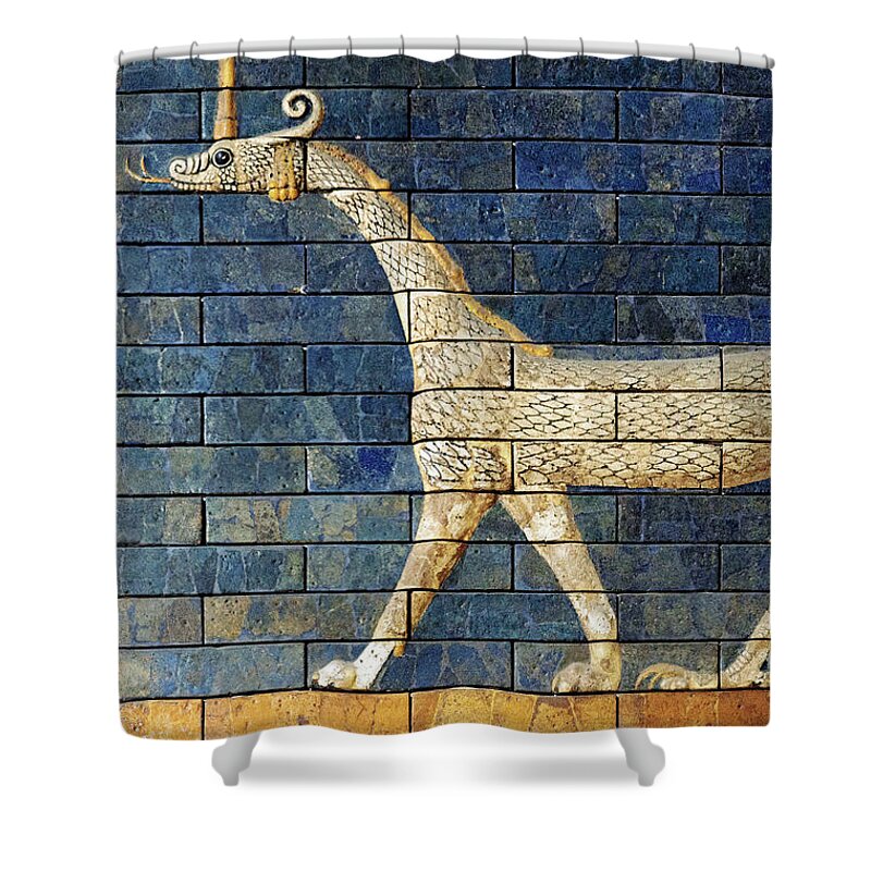 Babylonian Dragon Shower Curtain featuring the photograph Babylonian Dragon 01 Left by Weston Westmoreland