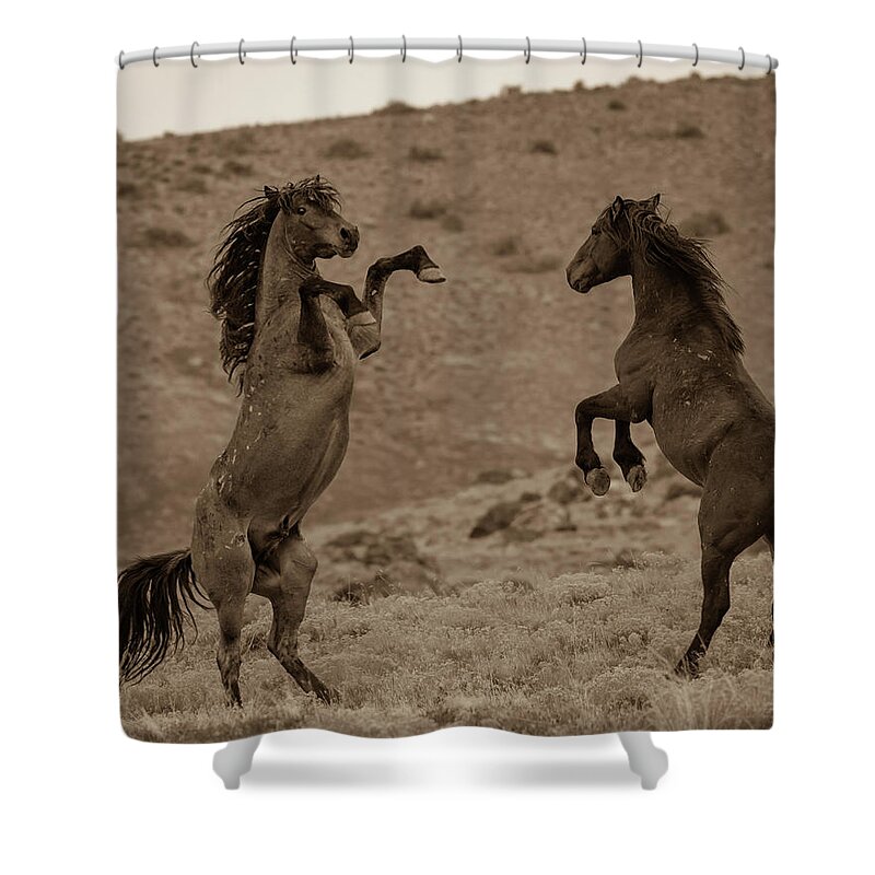 Wild Horses Shower Curtain featuring the photograph Back Off by Mary Hone