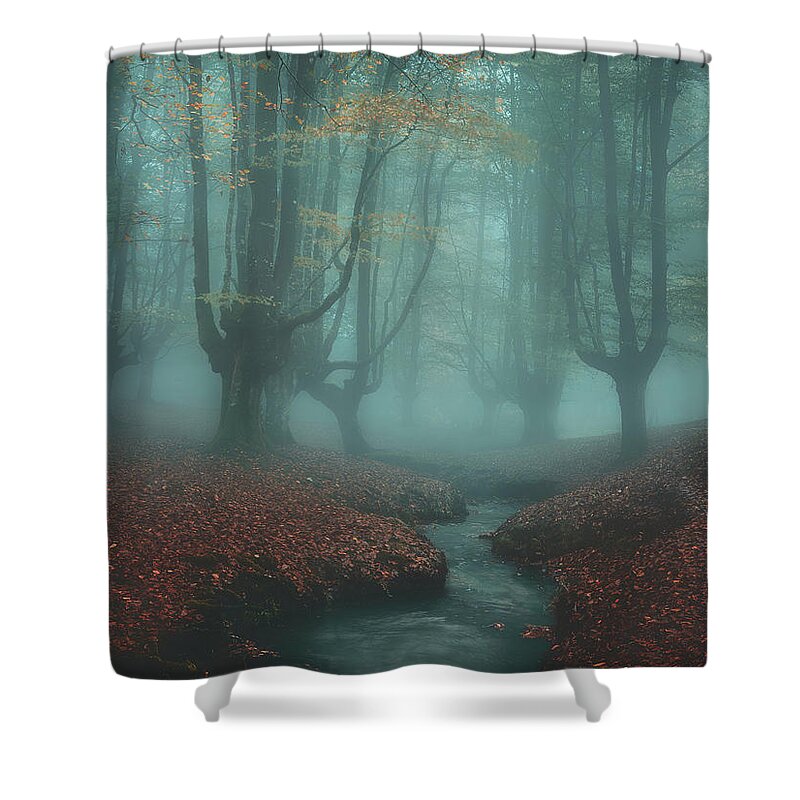 Autumn Shower Curtain featuring the photograph Back to Otzarreta by Mikel Martinez de Osaba