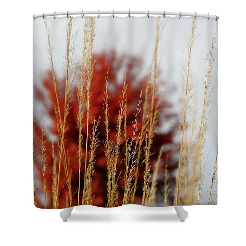 Autumn Shower Curtain featuring the photograph Background Colors by Lens Art Photography By Larry Trager