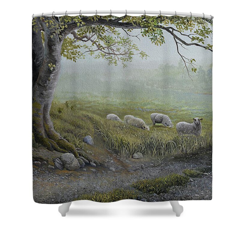 Sheep Shower Curtain featuring the painting Backroads of Manchester by Charles Owens
