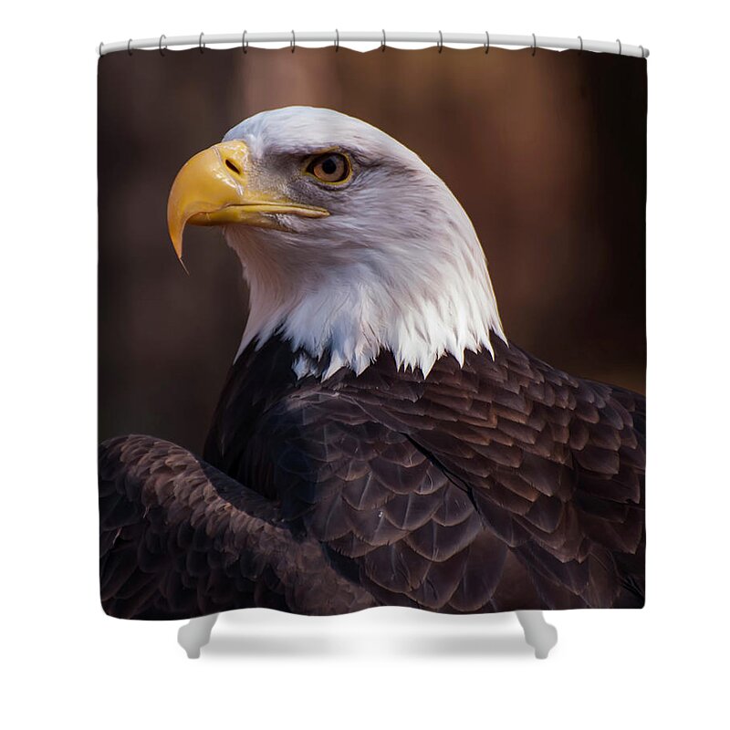 Bald Eagle Shower Curtain featuring the photograph Bald Eagle 2 by Flees Photos