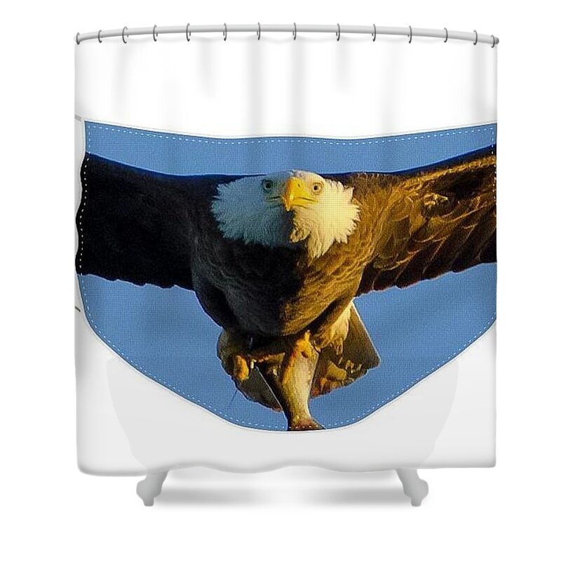 North American Bald Eagle Shower Curtain featuring the photograph Bald Eagle Face Mask with Fish by Jeff at JSJ Photography