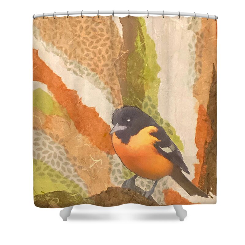 Bird Shower Curtain featuring the mixed media Balltimore Oriole Collage by Jessica Levant