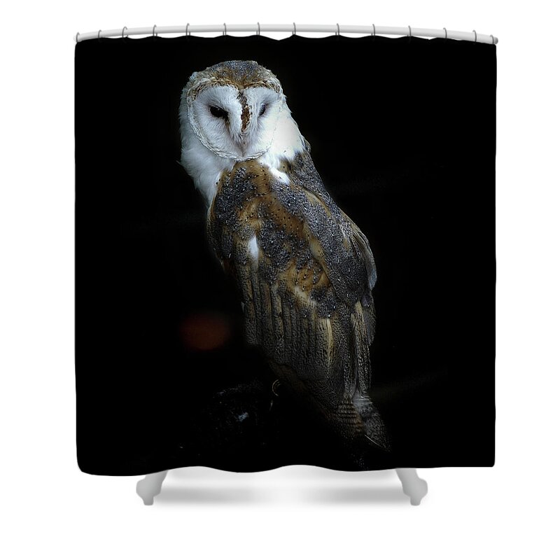 Owl Shower Curtain featuring the photograph Barn Owl Against a Black Background by James C Richardson