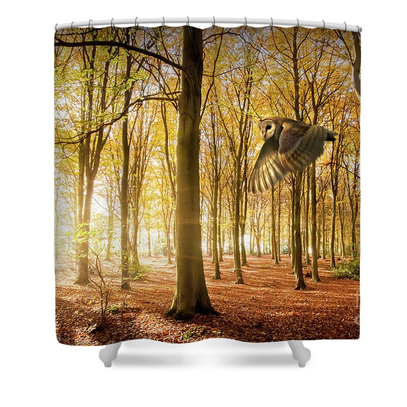 Autumn Shower Curtain featuring the photograph Barn owl flying in autumn woodland by Simon Bratt
