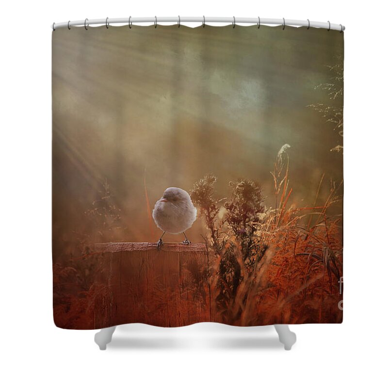 Wren Shower Curtain featuring the photograph Bathed in Light by Elaine Teague