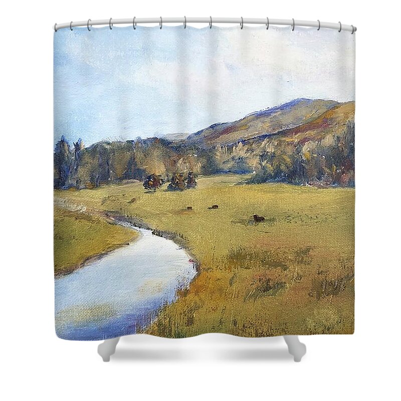 Battenkill River Shower Curtain featuring the painting Battenkill in the Shoulder by Rachel Barlow