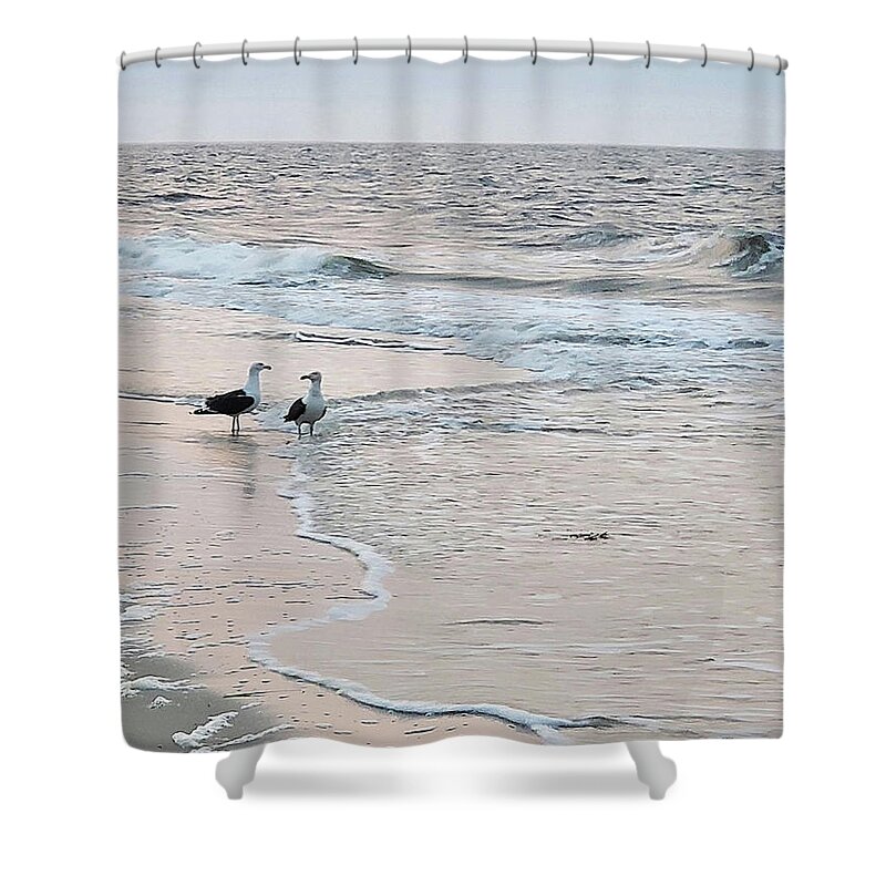Landscape Shower Curtain featuring the photograph Beach Buddies by Sharon Williams Eng