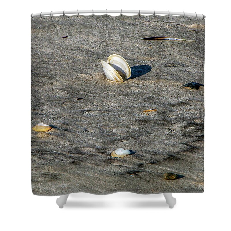 Sand Shower Curtain featuring the photograph Beach Things by Cathy Kovarik
