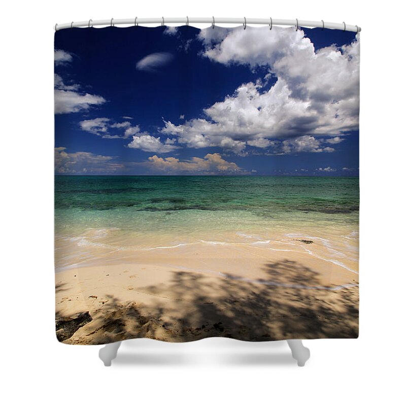 Beach Shower Curtain featuring the photograph Beach Views by Montez Kerr