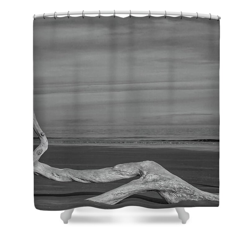 Boneyard Beach Shower Curtain featuring the photograph Beached by Jurgen Lorenzen