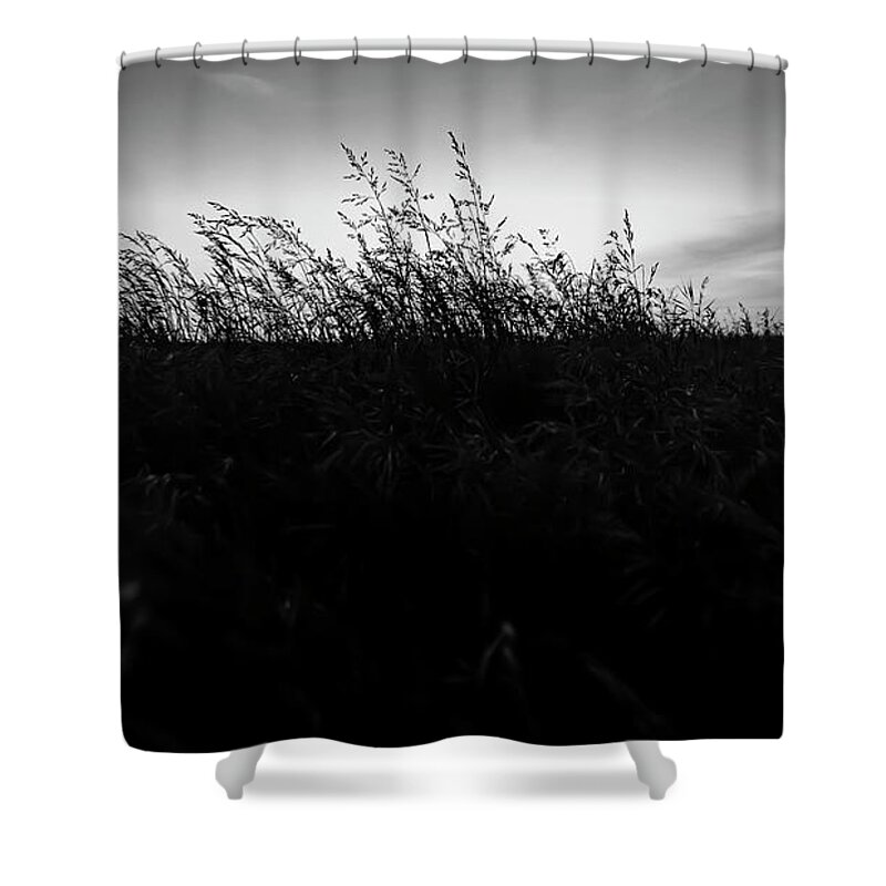 Sand Dunes Shower Curtain featuring the photograph Beachgrass Sunset Black and White by Pelo Blanco Photo