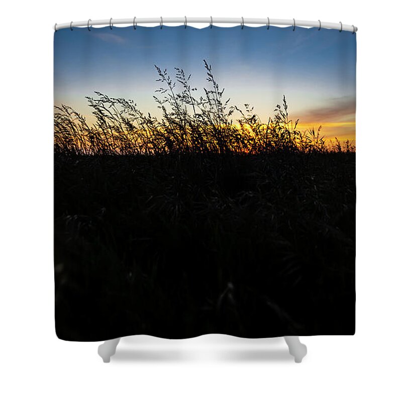 Sand Dunes Shower Curtain featuring the photograph Beachgrass Sunset by Pelo Blanco Photo