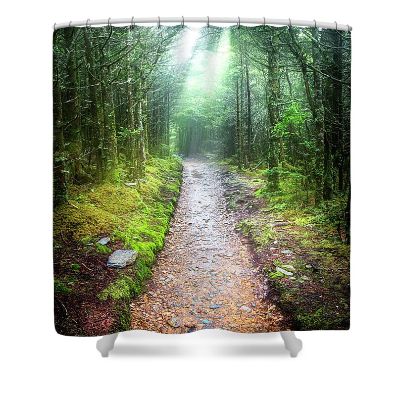 Carolina Shower Curtain featuring the photograph Beams of Light on the Appalachian Trail by Debra and Dave Vanderlaan