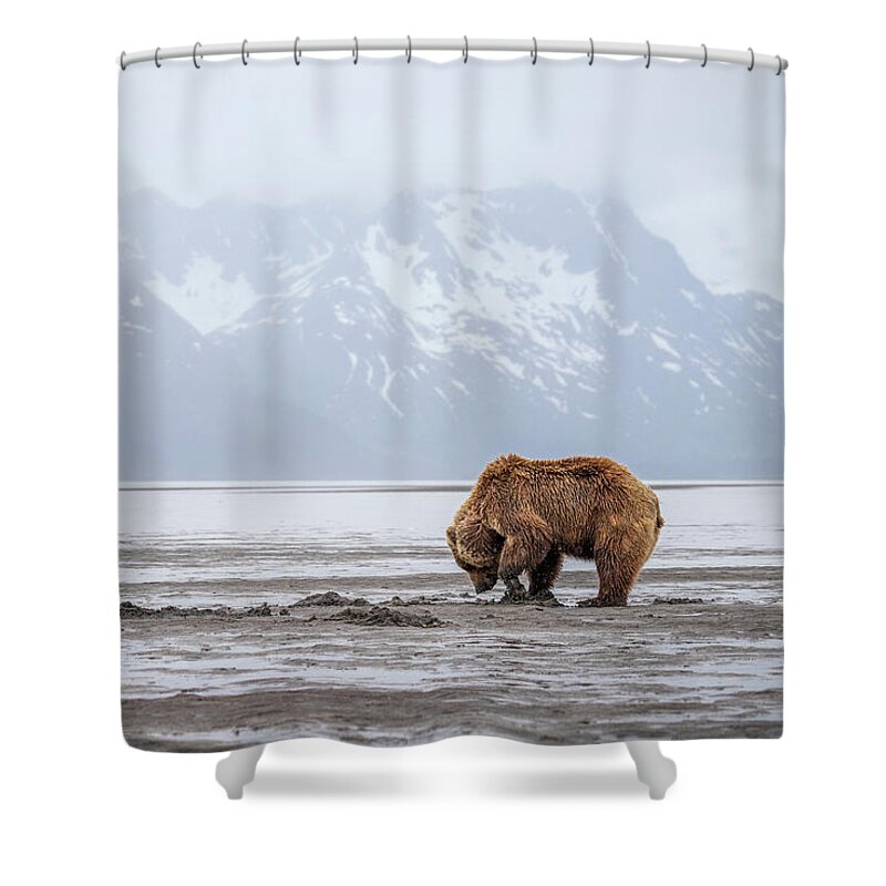(ursus Arctos) Shower Curtain featuring the photograph Bear Flats by James Capo