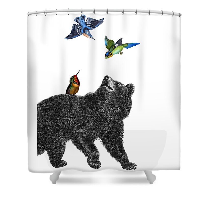 Bear Shower Curtain featuring the digital art Bear with birds antique illustration by Madame Memento