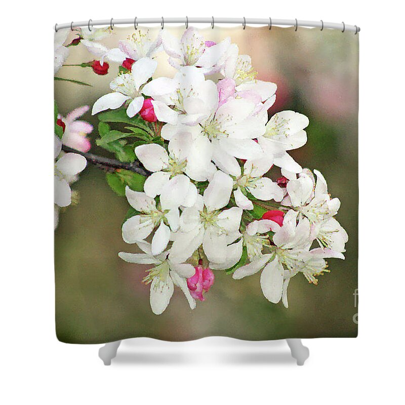 Apple Blossoms; Tree Blossoms; Flowers; Fruit Tree; Spring; Watercolor; Bokeh; Floral; Romantic; Peaceful; Dreamy; Close-up; Macro; Horizontal Shower Curtain featuring the digital art Beautiful Apple Blossoms by Tina Uihlein