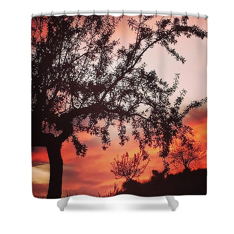 Colette Shower Curtain featuring the photograph Beautiful evening in Spain by Colette V Hera Guggenheim