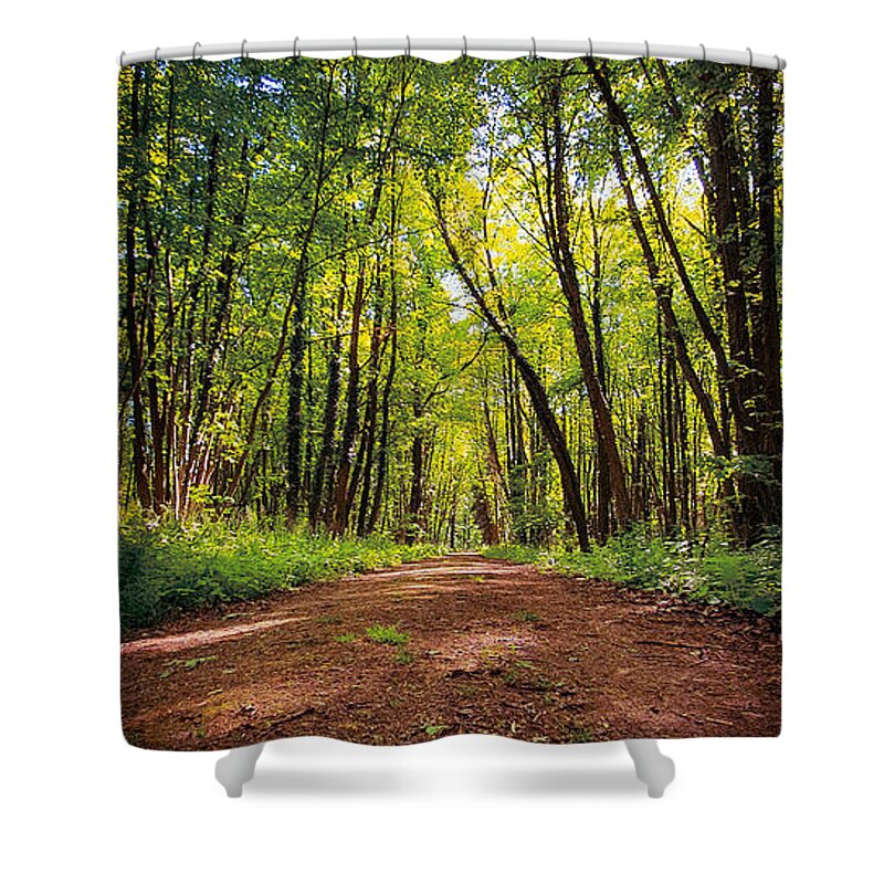 Forest Shower Curtain featuring the photograph Beautiful forest biking and hiking trail by Mendelex Photography